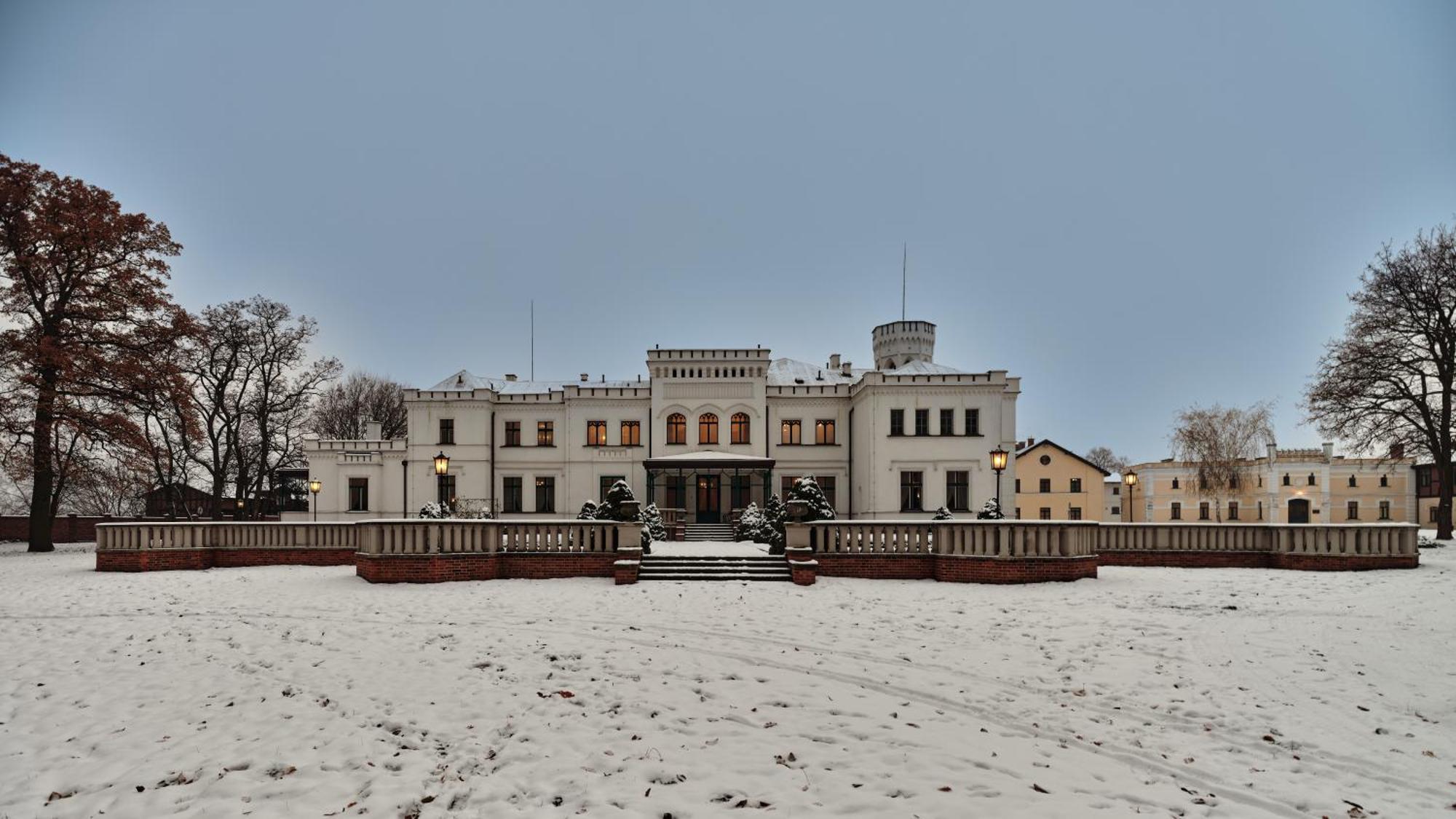 Palac Potockich W Bedlewie Bedlewo Экстерьер фото